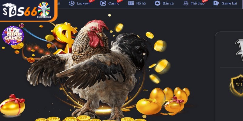 Đá gà S66 đang là một trong những điểm đến hàng đầu của giới cá cược 