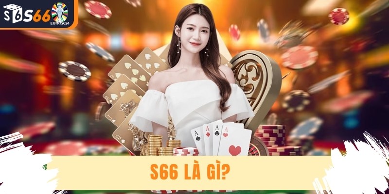 S66 Là Gì? - Nơi Tạo Ra Trải Nghiệm Cá Cược Đỉnh Cao